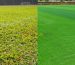 Sân bóng cỏ nhân tạo và sân cỏ tự nhiên
