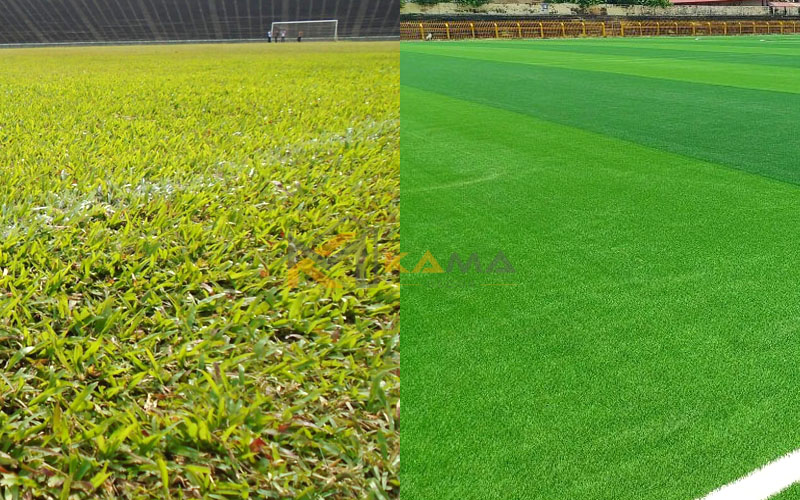 Sân bóng cỏ nhân tạo và sân cỏ tự nhiên